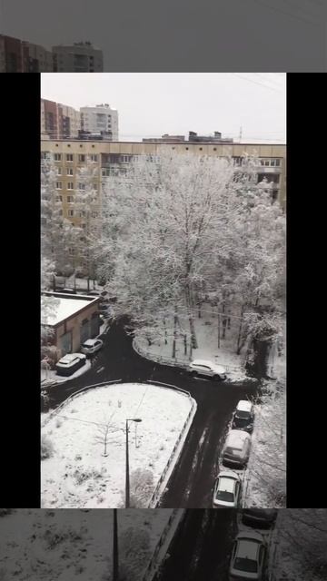 Санкт-Петербург. 24.11.2025.Мокрый снег, налипание на дорогах. Красота! МЧС предупредил. Эпизод 2