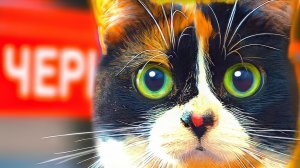 SlivkiShow в ЧЕРНОБЫЛЕ! [часть вторая]