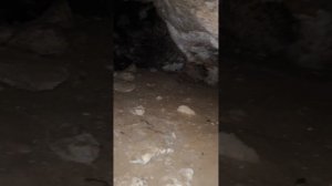 хутор Ильич на багги