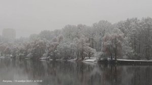 А зима то будет?Пошли радоваться в парк первому снегу.