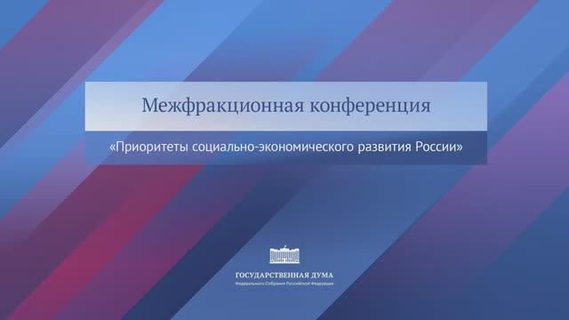 Госдума Межфракционная конференция "Приоритеты социально-экономического развития России", 24 ноября
