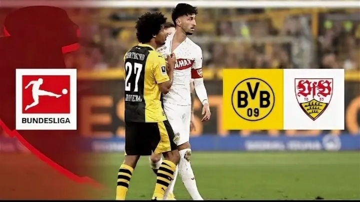 Боруссия Д-Штутгарт