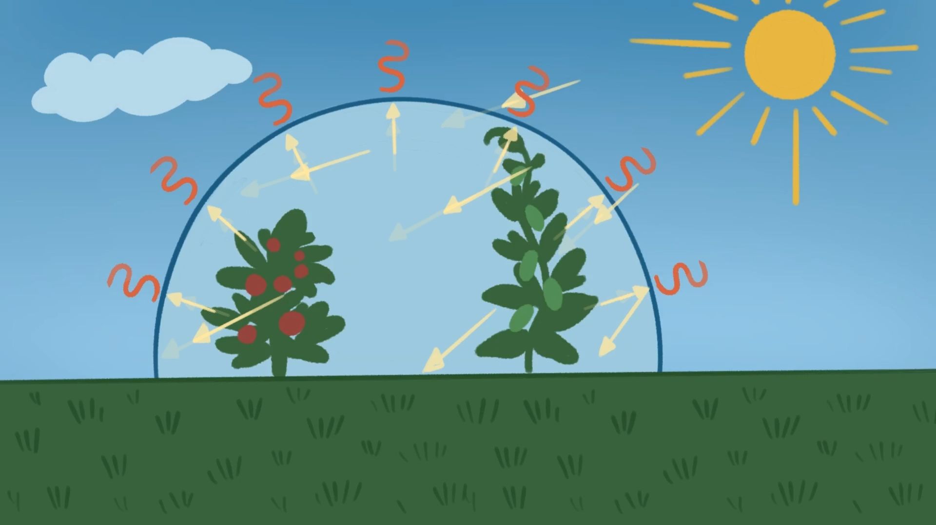 Вегетарий.Воздушное отопление теплицы