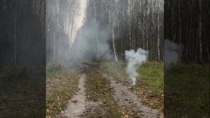 PB-004 Петарды PYTHON