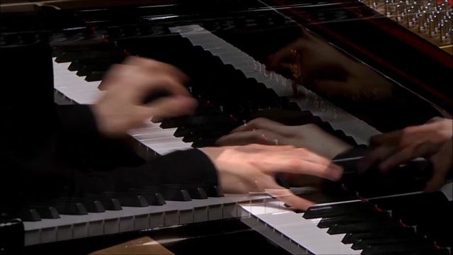 Ф.Лист. Трансцендентный этюд "Дикая охота". S.139, № 8. Исп. Ярослав Марков