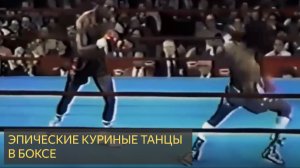 ЭПИЧЕСКИЕ КУРИНЫЕ ТАНЦЫ в истории бокса
