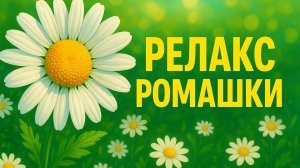 РЕЛАКС РОМАШКИ: СПОКОЙСТВИЕ И ПРИРОДНАЯ АТМОСФЕРА