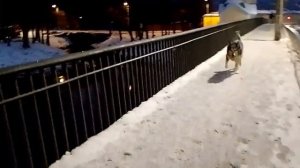 За рубль. После кладбища.Часть 2