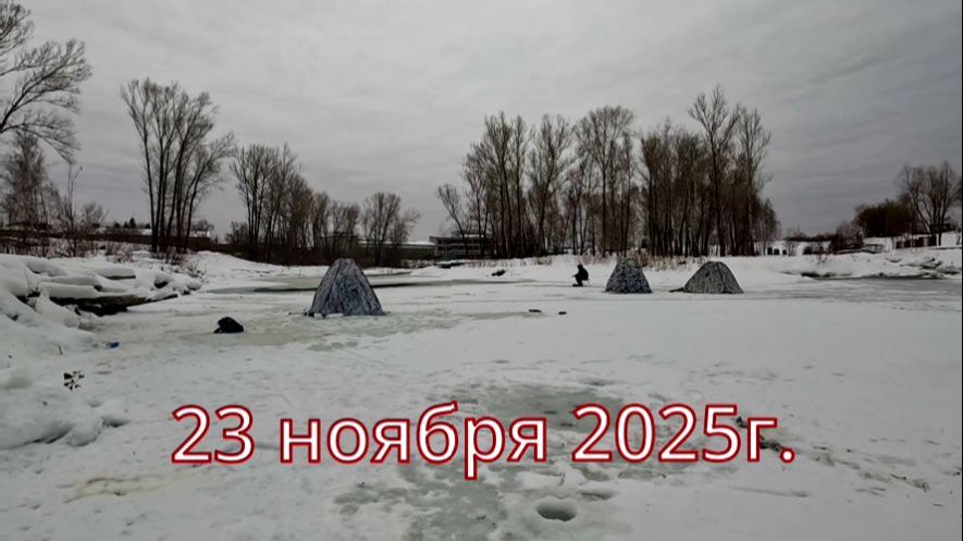 ВИДЕООТЧЕТ от 23 ноября 2025г. Рыбалка в центре поселка !