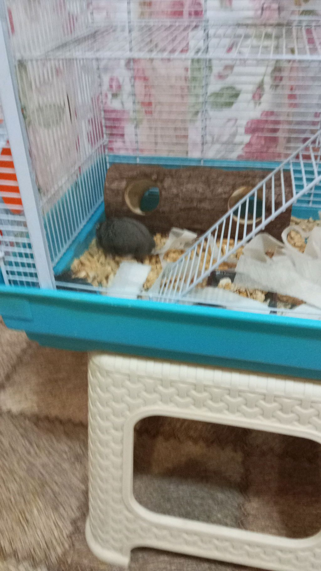 часть два делаю хомячка 3D ручкой