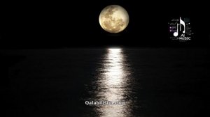 Rise of the Night   Car Music  Bass Boosted Music  Best Of EDM Electro House Party Music