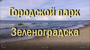 Городской парк Зеленоградска, сентябрь 2022 г.