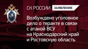 Возбуждено уголовное дело о теракте в связи с атакой ВСУ на Краснодарский край и Ростовскую область