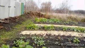 Домашние дела.