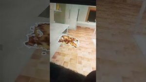 играет в роблокс хоррор