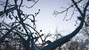 ⚡️В новом выпуске НАСТОЯЩИХ Елена Никитина вновь затронет тему женщины на войне.