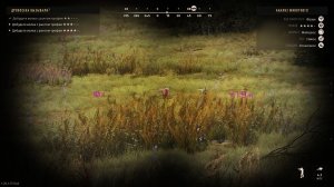 Way of the Hunter - 2025-11-25 22-05-36