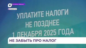 Меньше недели остаётся в России до крайнего срока оплаты НДФЛ и налога на имущество