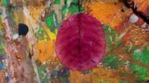 #Анапа сегодня 🌞 Новый шедевр Алехо Меласкеза - ЯБЛОКО РАЗДОРА // Анапа, ВНЕ РАМОК