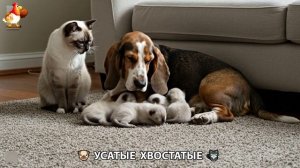 Котята и щенята 🐈🐶 Кошки и собаки 🤗 Милое видео про животных (4)