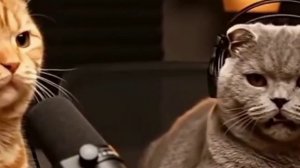 Тренд " Хозяин 10 из 10"