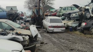 Авторазбор Тольятти ноябрь 2025 год