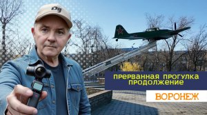 Продолжение прерванной прогулки, Воронеж 25.11.25г