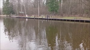 Форель реагирует на блесну. Рыбалка на спорт зоне. Клёвое место лосиный остров