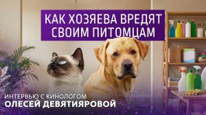 Как хозяева вредят своим питомцам. Интервью с кинологом Олесей Девятияровой.