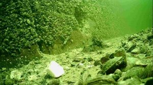 1000004926.mp4Волга гл.5м.25.11.2025г.