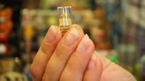 Подготовка к выставке-ярмарке. Новый микроб. Наш стол. Как всё прошло