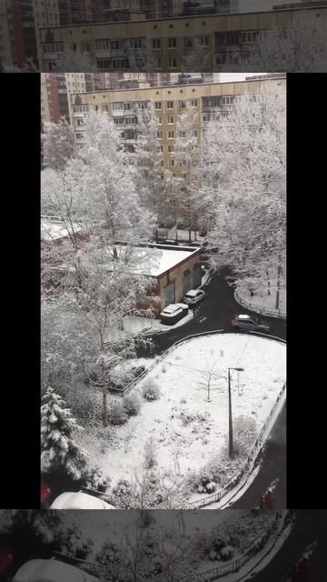 Санкт-Петербург. 24.11.2025.Мокрый снег, налипание на дорогах. Красота! МЧС предупредил. Эпизод 3