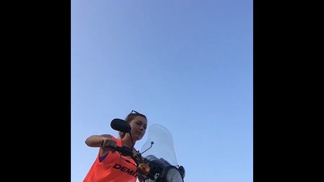 Деревья должны бегать. Часть 2 смотреть онлайн