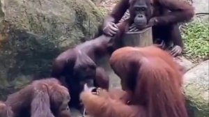 На Уроке! ✨💫✴️☺️😉🧐