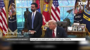 Что известно о мирном плане по урегулированию конфликта на Украине?