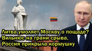 Литва умоляет Москву о пощаде Вильнюс на грани срыва Россия прикрыла кормушку
