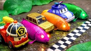 Огромная золотистая рыба Кои заглатывает мелкую рыбу, угрей и подземные яйца