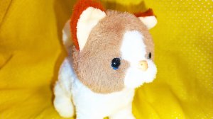 Мультик котик.Котики.Кот.Кошка.Котёнок.Игрушка для детей.Игрушки для детей.Игрушка робо.Роботы.Котэ