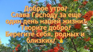 Купили швейную машинку // Вечерня прогулка по городу//Белгород, ноябрь 2025