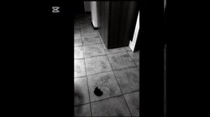 самое грустное видео😭