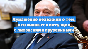 Лукашенко доложили о невиновности литовских дальнобойщиков в ситуации на границе