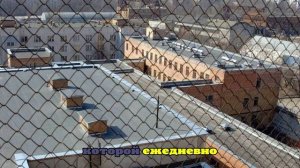 Осуждённый плеснул кислотой в лицо начальнику колонии в Калужской области