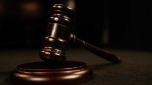 Бросившей дочь в турецком туалете россиянке утвердили лишение родительских прав