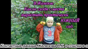 В.Железов. Как не сходя с места вырастить практически ЮЖНЫЙ сад.