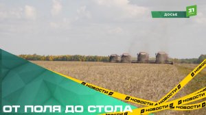 От поля до стола. Лучшие агрономы получили заслуженное признание за свой нелегкий труд