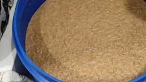 Односолодовый виски. От сырья до бочки.