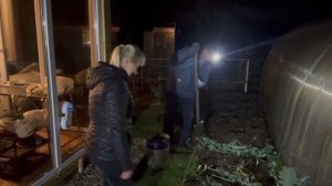 Наши выходные на даче/Взошли эустомы/Делаем тыквенный сок/Октябрь 2025