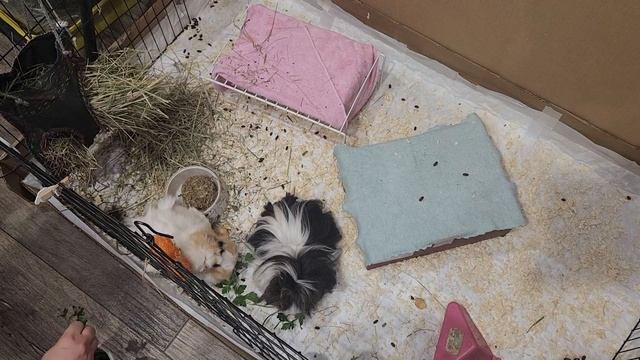 Выходные и обычные дела 😁