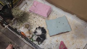 Выходные и обычные дела 😁