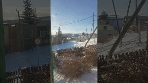 Печальная история 😢